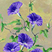 Kunio Nomura Gallery
